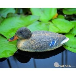 Állatfigura nőstény vadkacsa