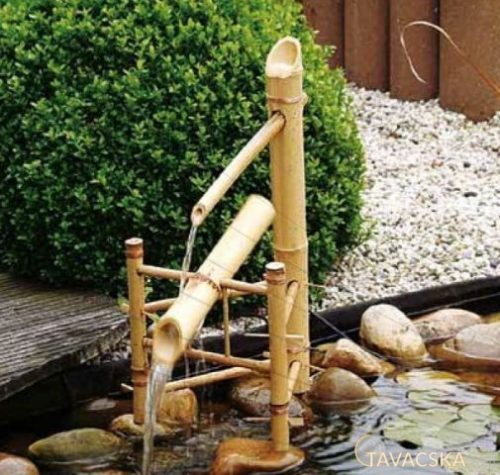Bambusz vízhimba
