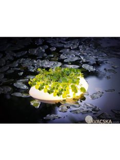 Úszó tavinövény világítás  Floating Pond Light 