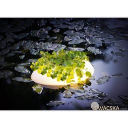 Úszó tavinövény világítás  Floating Pond Light 