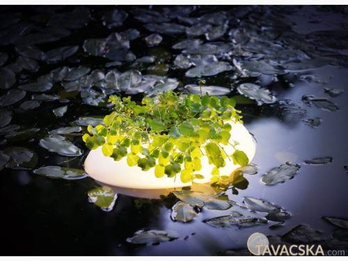 Úszó tavinövény világítás  Floating Pond Light 