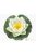 Lotus Foam White 10 cm