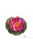 Lotus Foam Fuchsia 10 cm