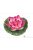 Lotus Foam Fuchsia 17 cm