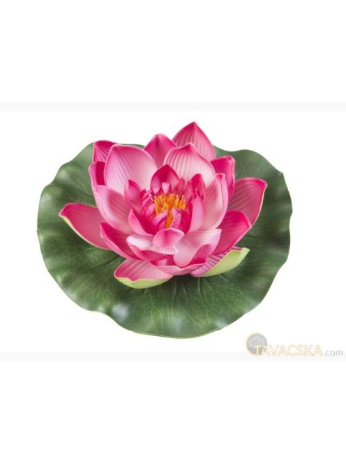 Lotus Foam Fuchsia 17 cm