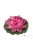 Lotus Foam pink 17 cm