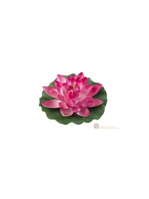 Lotus Foam pink 17 cm