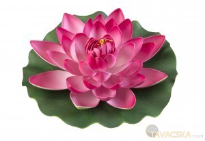 Lotus Foam pink 17 cm