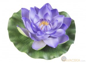 Lotus Foam purple 17 cm