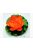 Lotus Foam Orange 17 cm