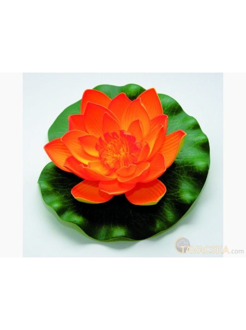 Lotus Foam Orange 17 cm