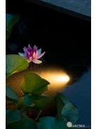 AquaSpotlight Power LED 60