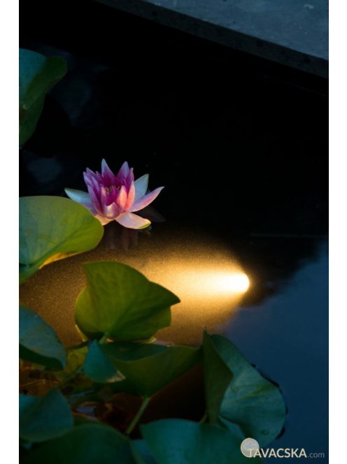AquaSpotlight Power LED 60