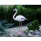 Állatfigura, Flamingo