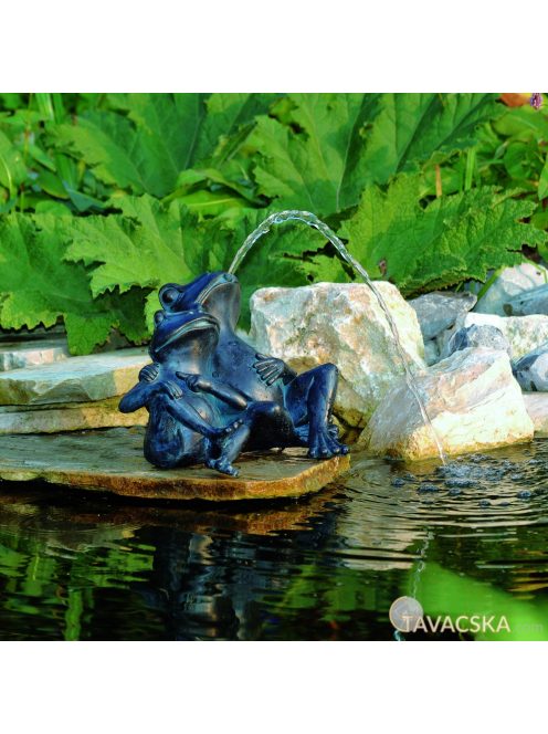 Vízköpő Béka (2)