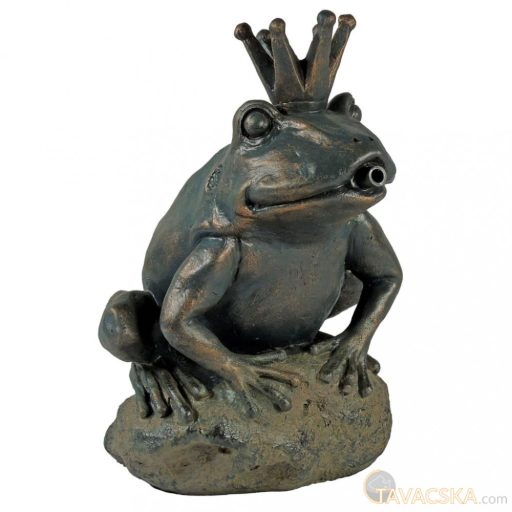 Vízköpő békakirálynő