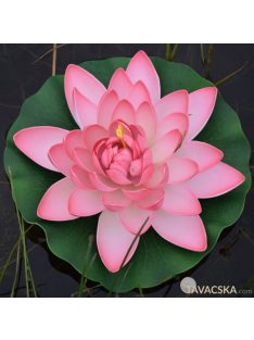 Tavirózsa pink 28cm