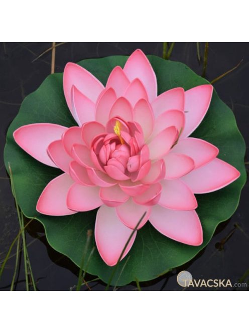 Tavirózsa pink 28cm