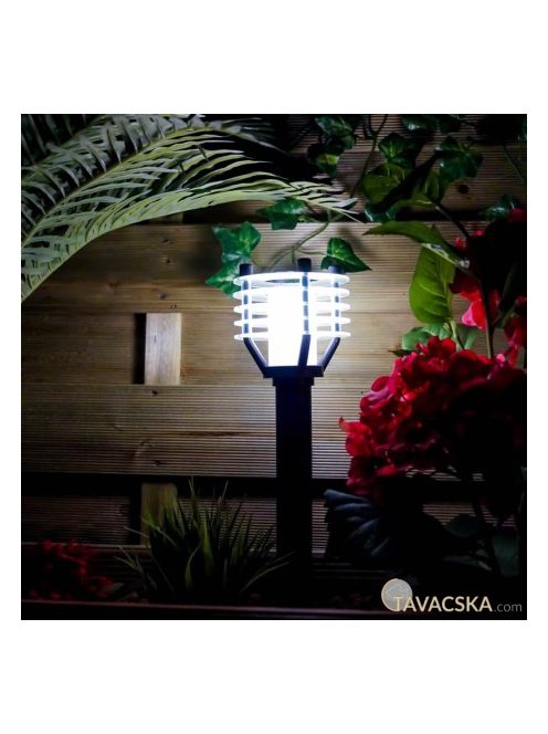 Garden Lights Larix
