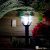 Garden Lights Larix