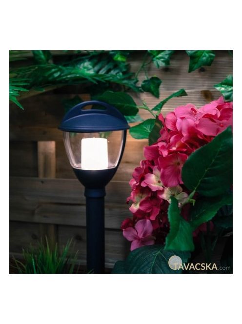 Garden Lights Laurus