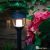 Garden Lights Laurus