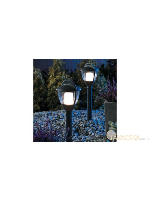 Garden Lights Laurus