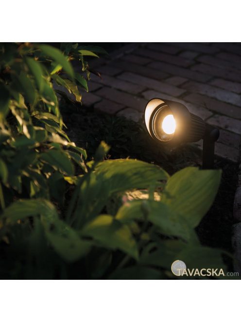 Garden Lights Focus, spotlámpa