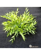 Talajtakaró fekete geotextília 50g/m2 UV stab. 1,60m x 5m