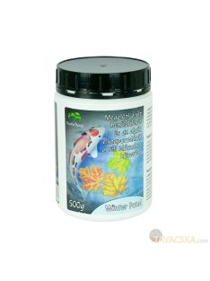 Home Pond WINTER POND 500g