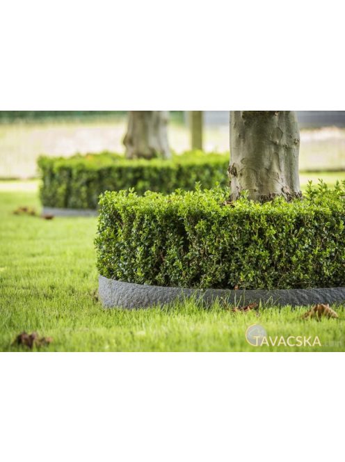 Ecolat Tó és ágyásszegély 19 cm x 7 mm 25m, tekercsben