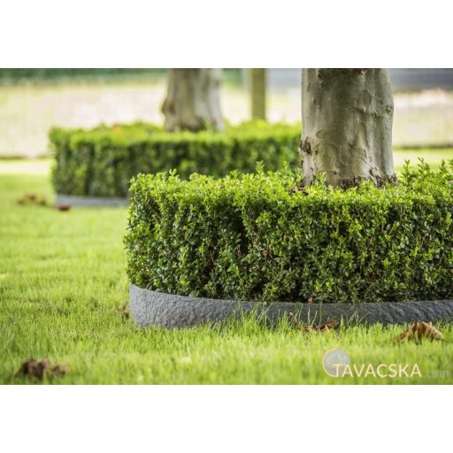 Ecolat Tó és ágyásszegély 19 cm x 7 mm 25m, tekercsben