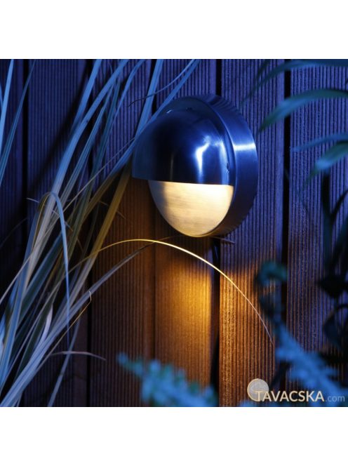 Garden Lights Palm