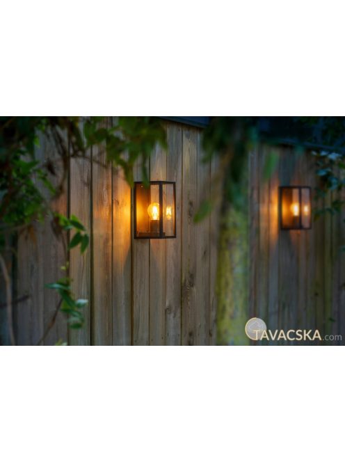 Garden Lights Sitta