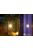 Garden Lights Columba