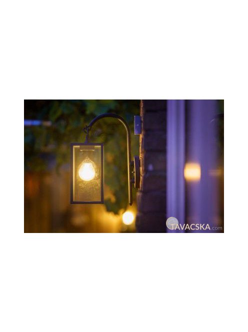 Garden Lights Columba