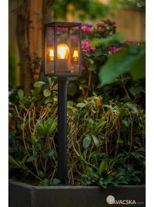 Garden Lights Limosa 70 