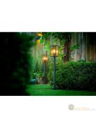 Garden Lights Limosa 70 