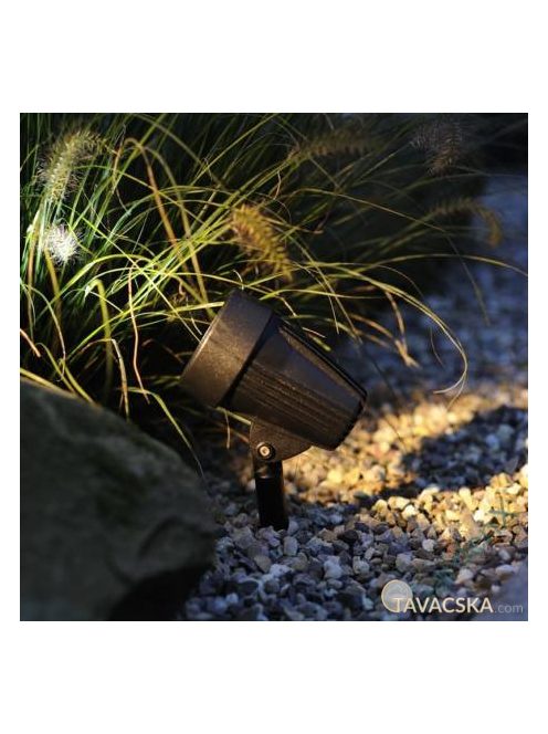 Garden Lights Corvus