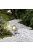 Garden Lights Catalpa