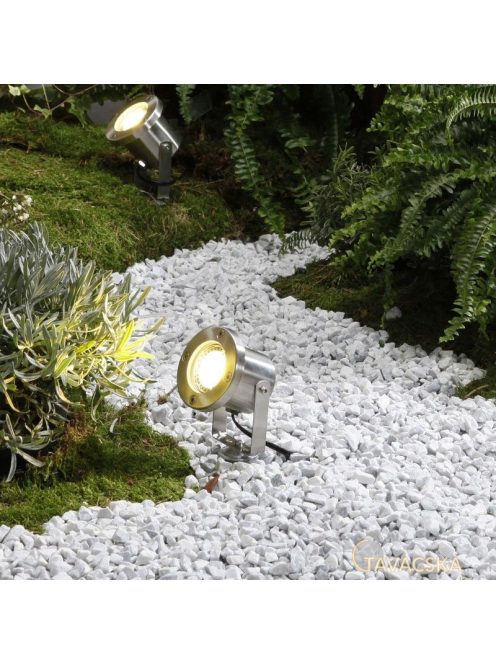 Garden Lights Catalpa