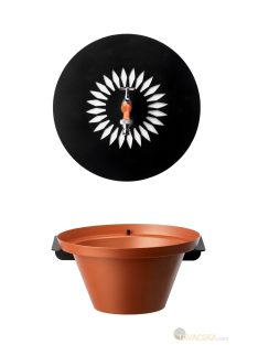   Fali kút DAISY sárgaréz csappal, terrakotta aluminium tállal 