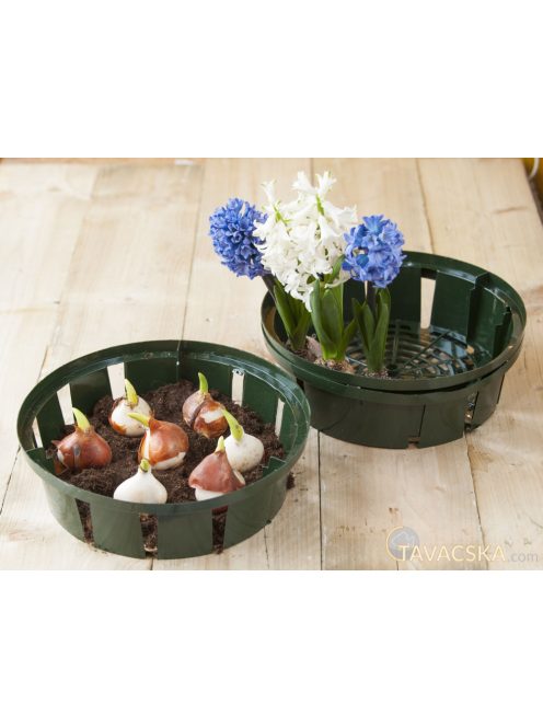Kosár virághagymákhoz 26 cm, 3db/csomag