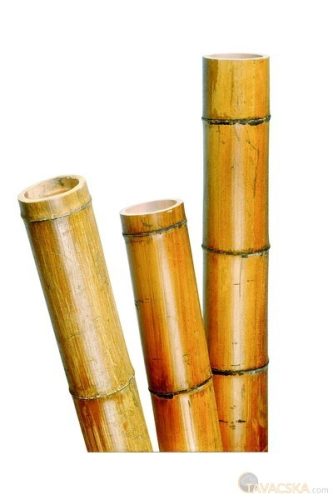 Bambusznövénytámasz d40-55, 270 cm 