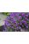 Növénytámasz zöld H100x45x24