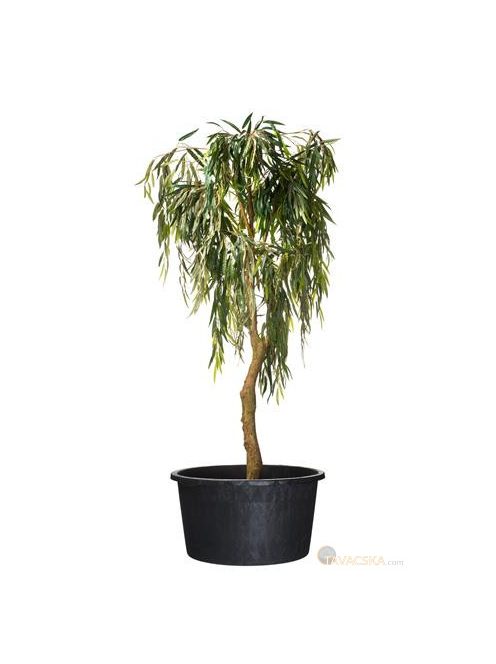 Ritzi konténer 50l H36xØ53,5cm