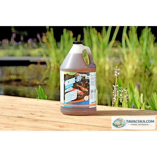 Microbe-Lift Clean & Clear 4 liter