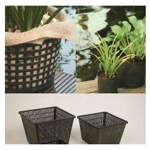 Vízinövény kosár