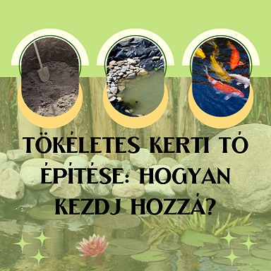 Tökéletes kerti tó építése: hogyan kezdj hozzá?