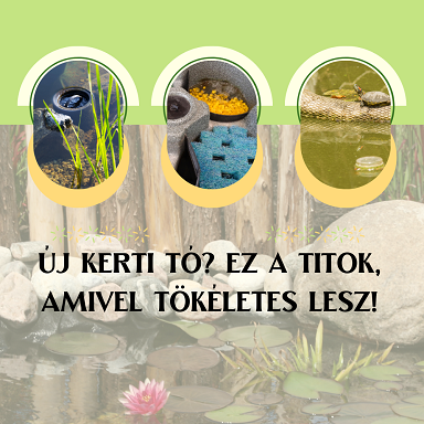 A legszebb kerti tavak építéséhez szükséges eszközök
